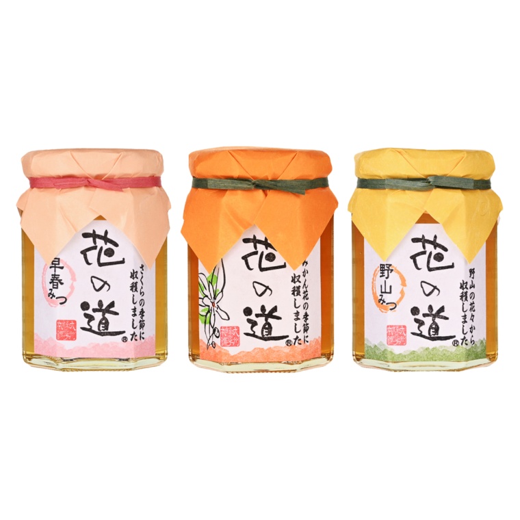 九州蜂の子本舗 国産蜂蜜3種セット [140g×3]