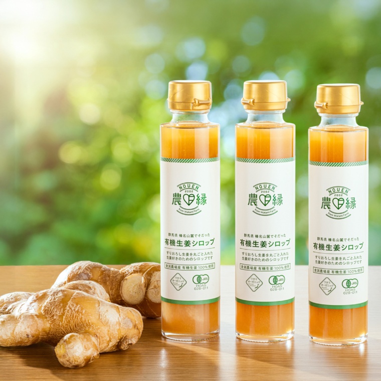 ワタミファーム 有機生姜たっぷりシロップ 225ｇ×3本