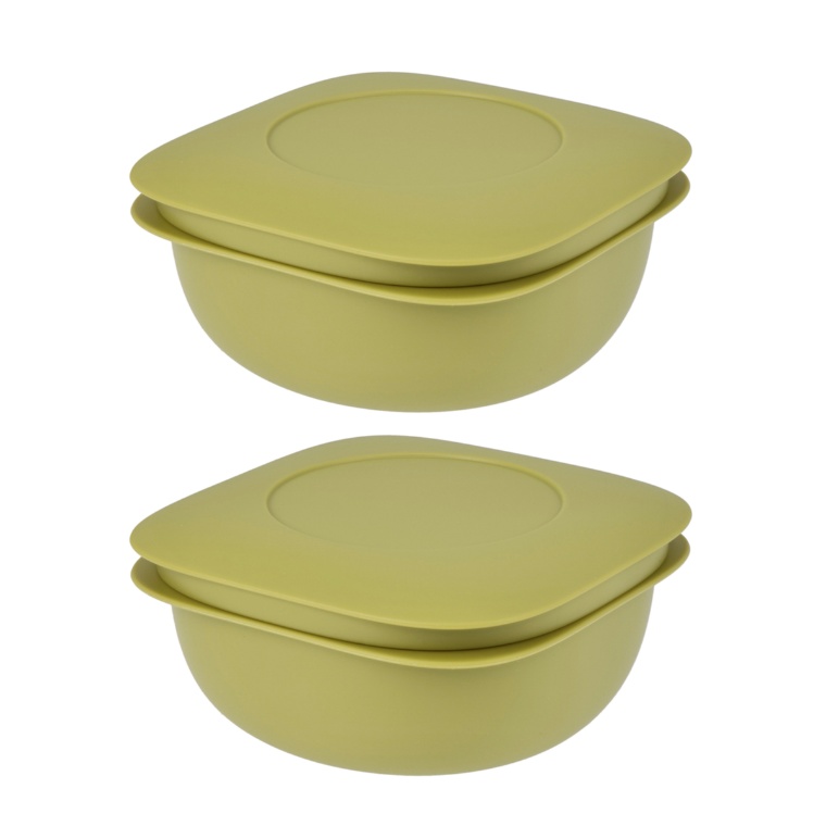 Like-it 蒸気で温める冷凍ごはん容器2個セット