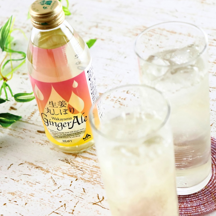 JAわかやま 丸しぼりジンジャーエール[250ml×24]