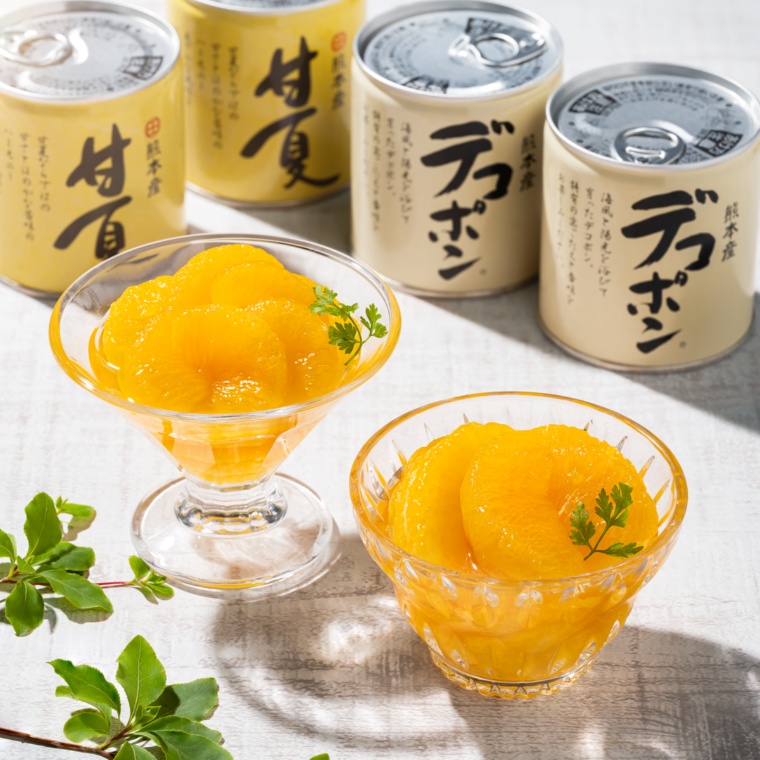 JAあしきた デコポン.甘夏缶詰セット 2種3缶