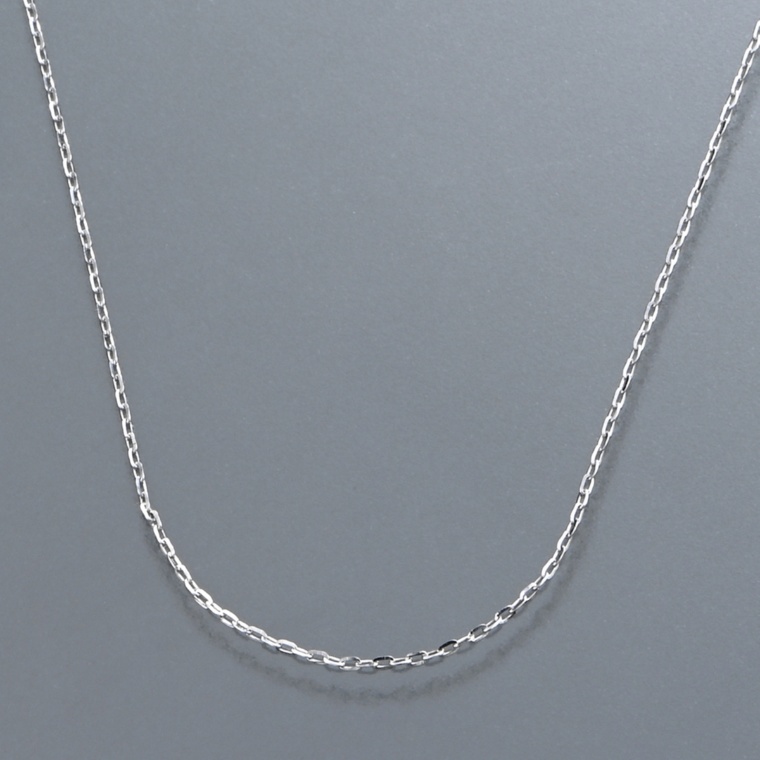 PT850 シャイニーアズキチェーンネックレス 45cm [SS]