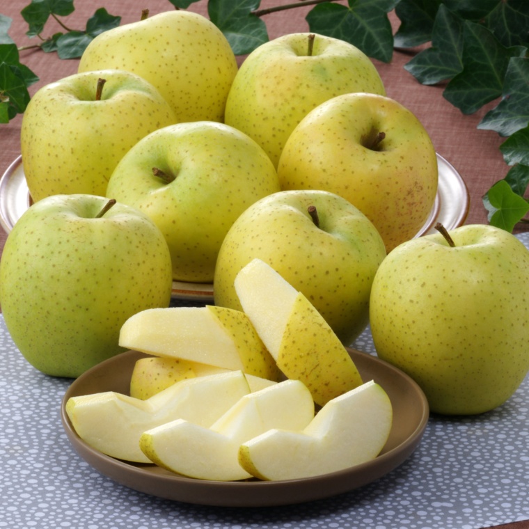 JAつがる弘前 メジャー王林 2.7kg[7〜12個]