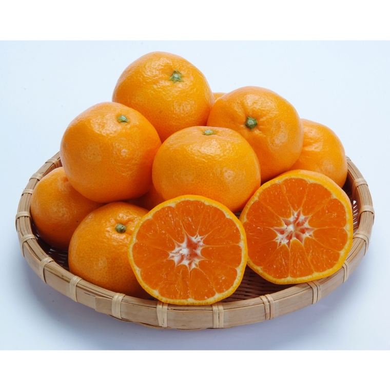 熊本県産 特選温州みかん[夢の恵みかん]4kg