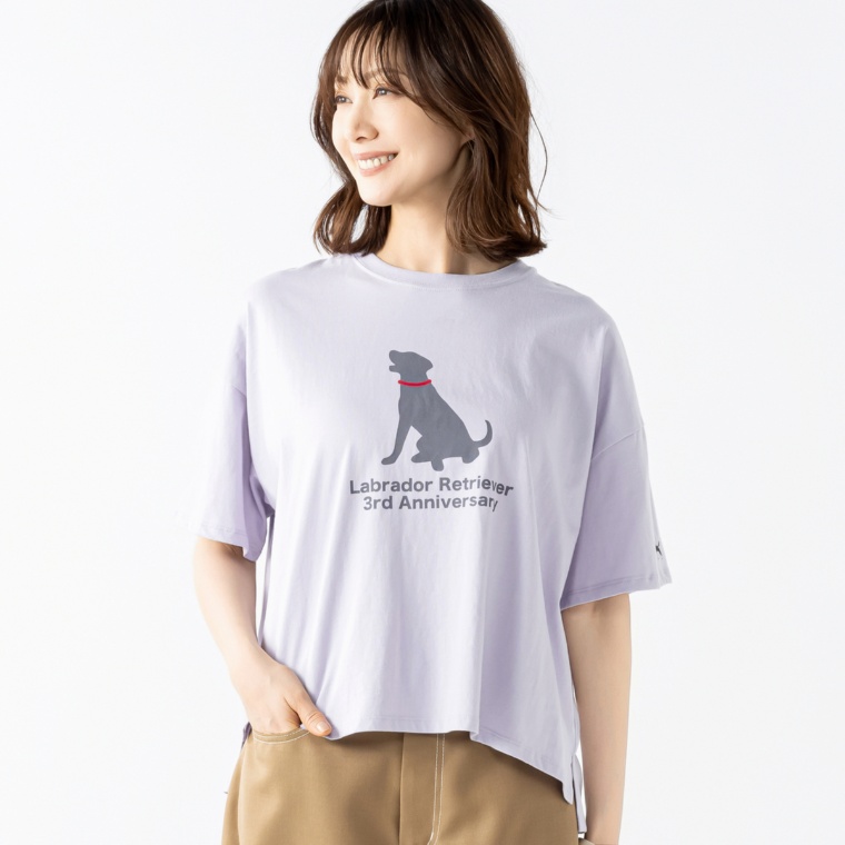 Labrador Retriever アニバーサリーボックスTシャツ