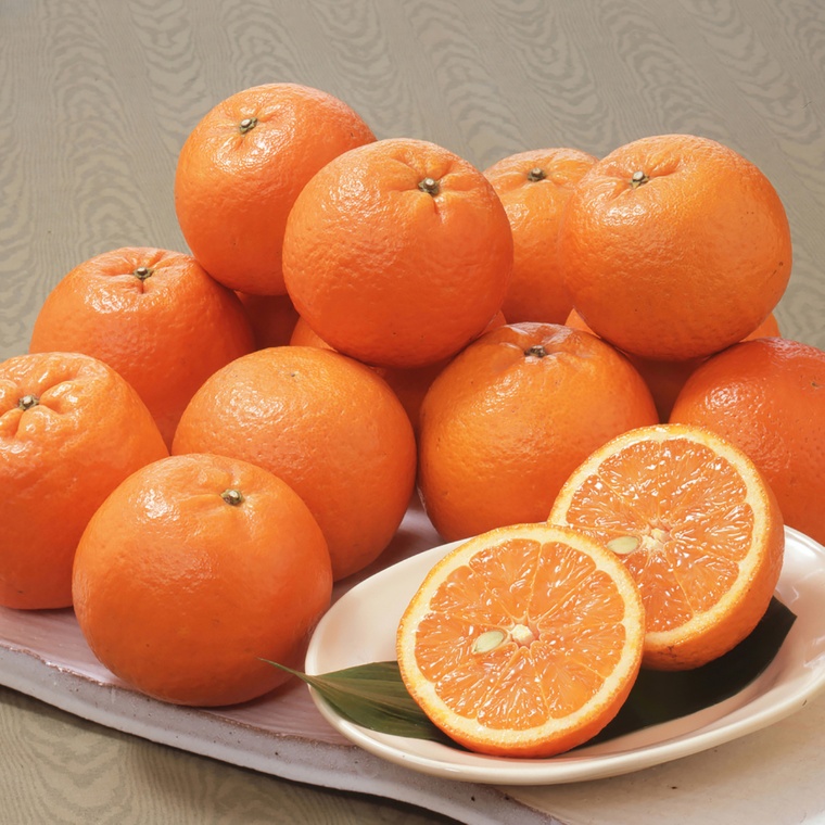 JA鹿児島経済連 タンカン[3kg]