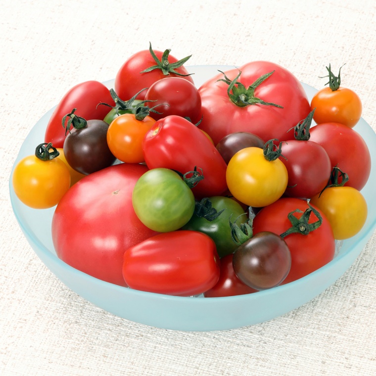 福島県産サンシャイントマト[1kg]