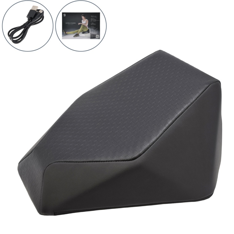 GACKTプロデュース エクストラクッション