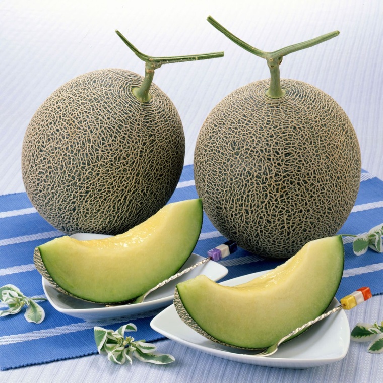 熊本県産肥後グリーンメロン4kg[2玉]