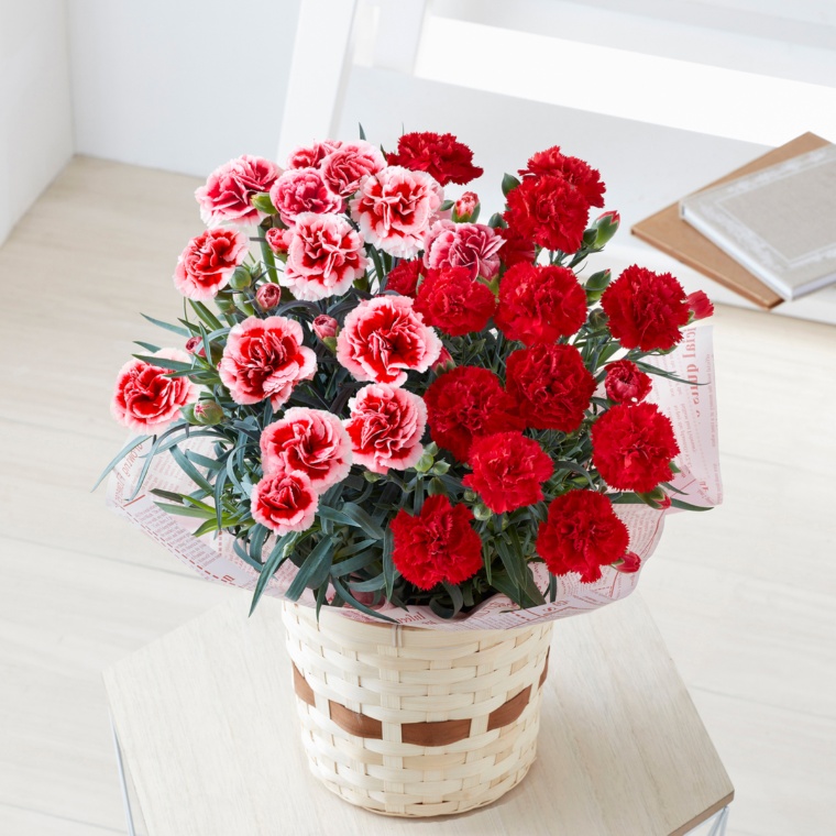 カーネーション ストロベリーレッド