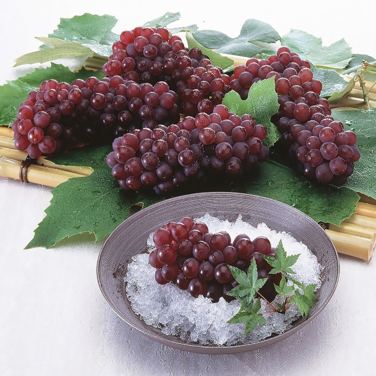 JA全農山形 ハウスデラウェア [秀品] 1kg