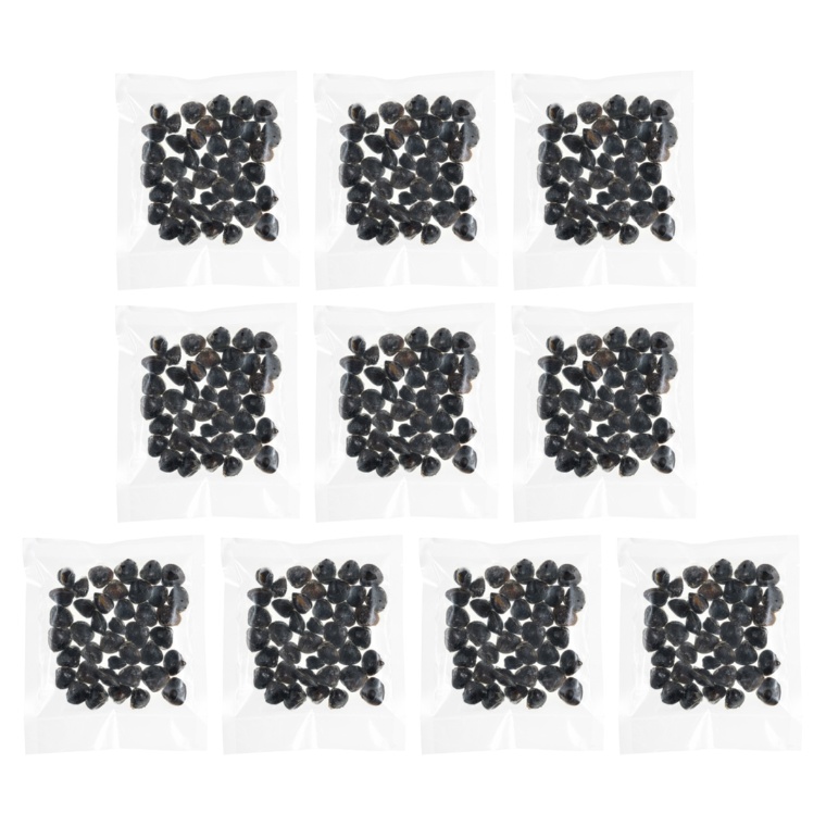 宍道湖産冷凍しじみMサイズ150g×10袋