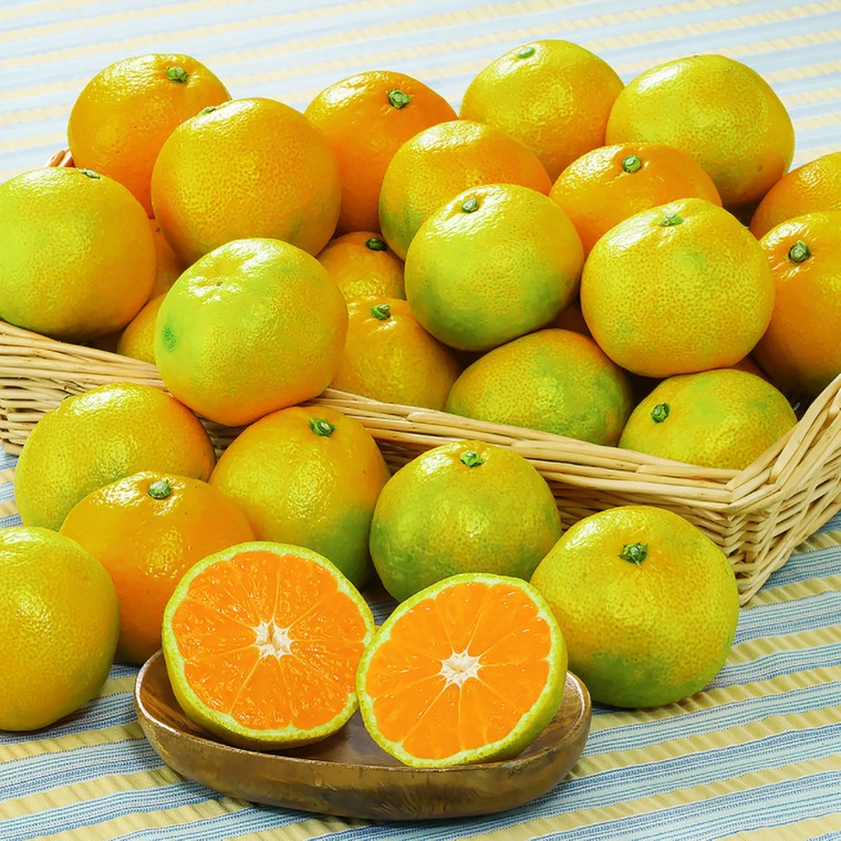 JAわかやま 極早生温州みかん3kg[22〜35個]