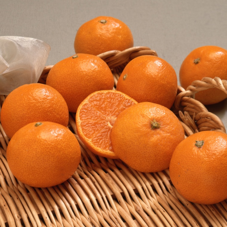 JA全農ながさき 大きな温州みかん 4.5kg