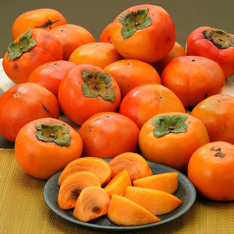 JA筑前あさくら 訳あり富有柿4.7kg