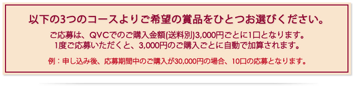 ȉ3̃R[X育]̏ܕiЂƂIтB